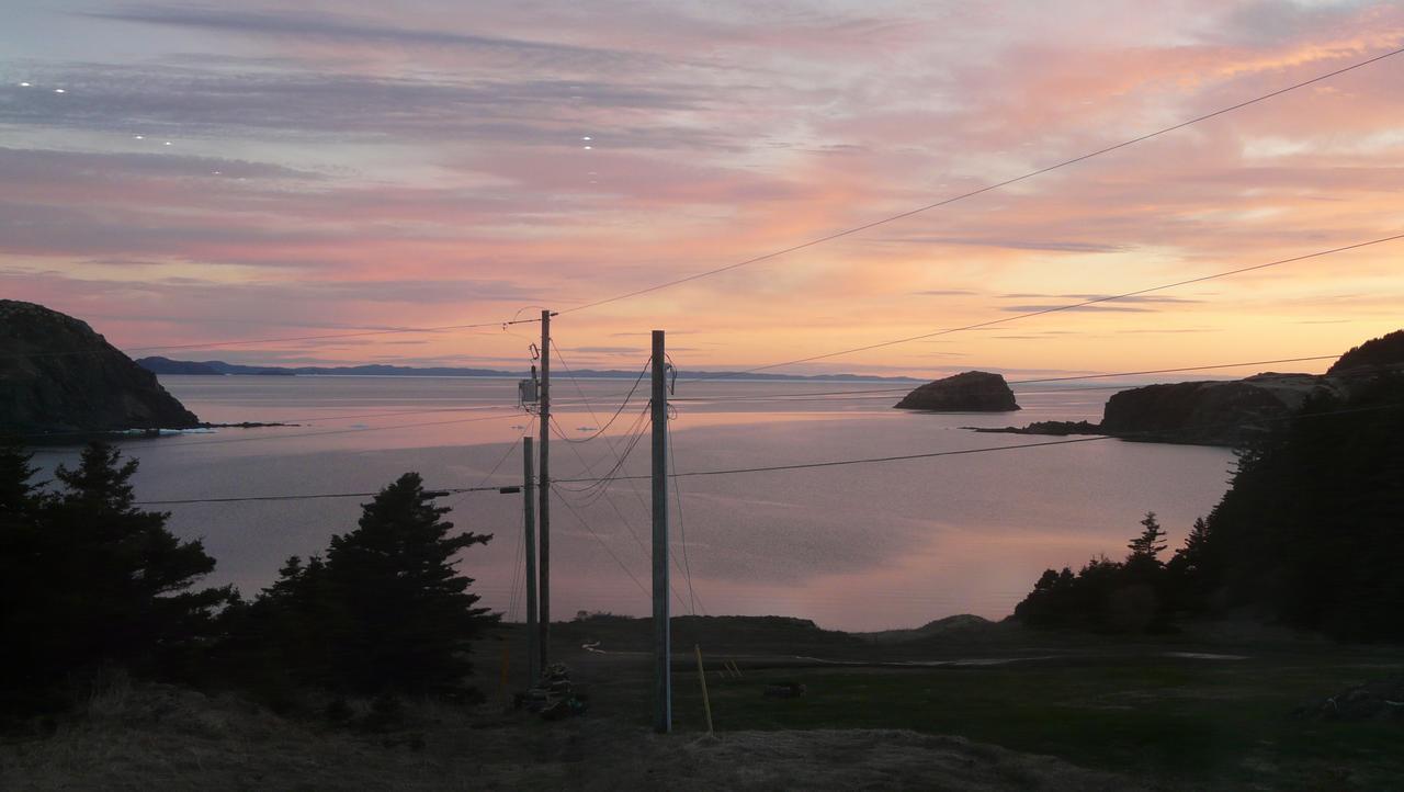 Tranquility Hill B & B Twillingate Eksteriør billede