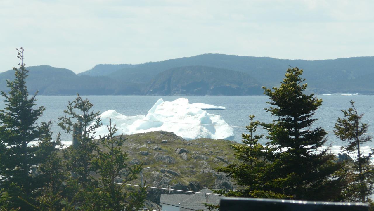 Tranquility Hill B & B Twillingate Eksteriør billede