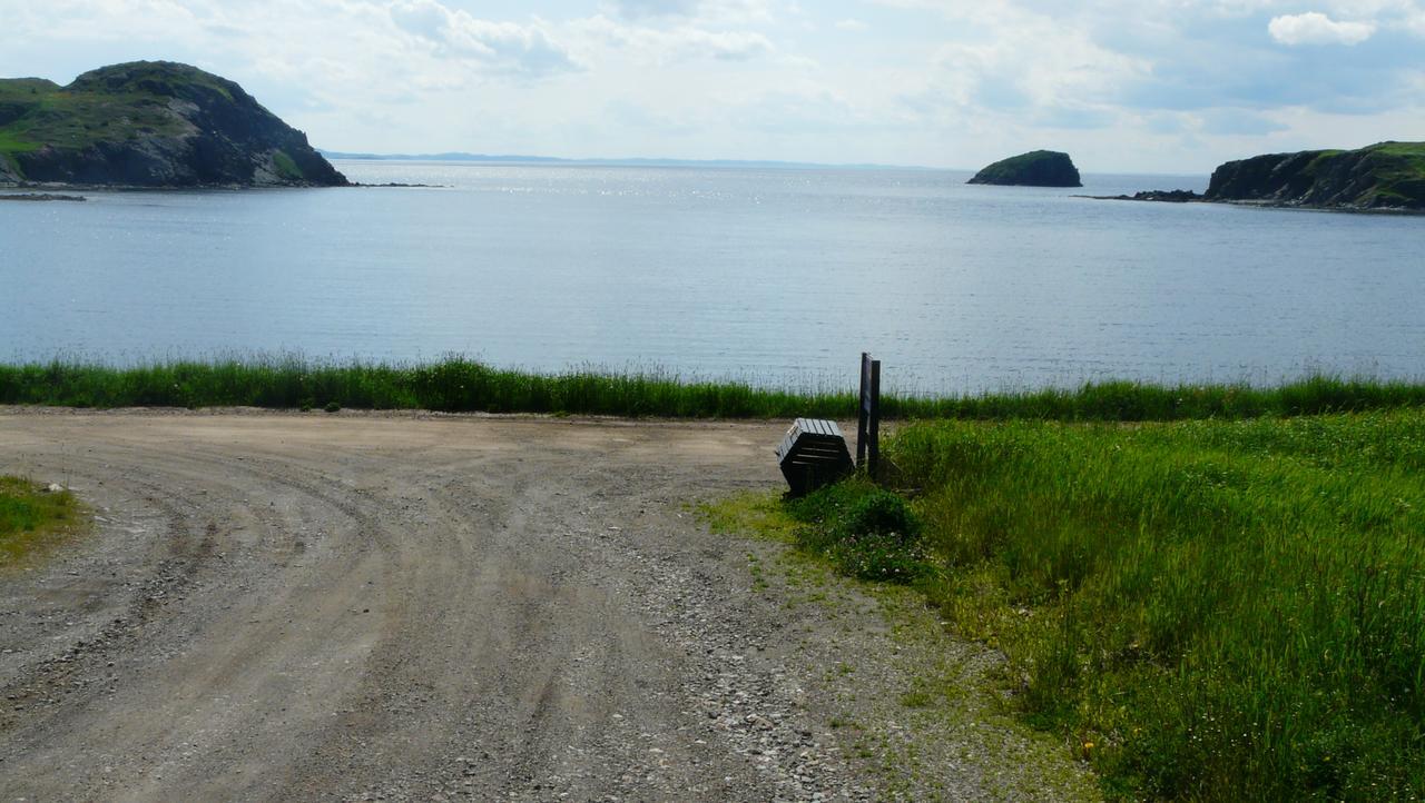 Tranquility Hill B & B Twillingate Eksteriør billede