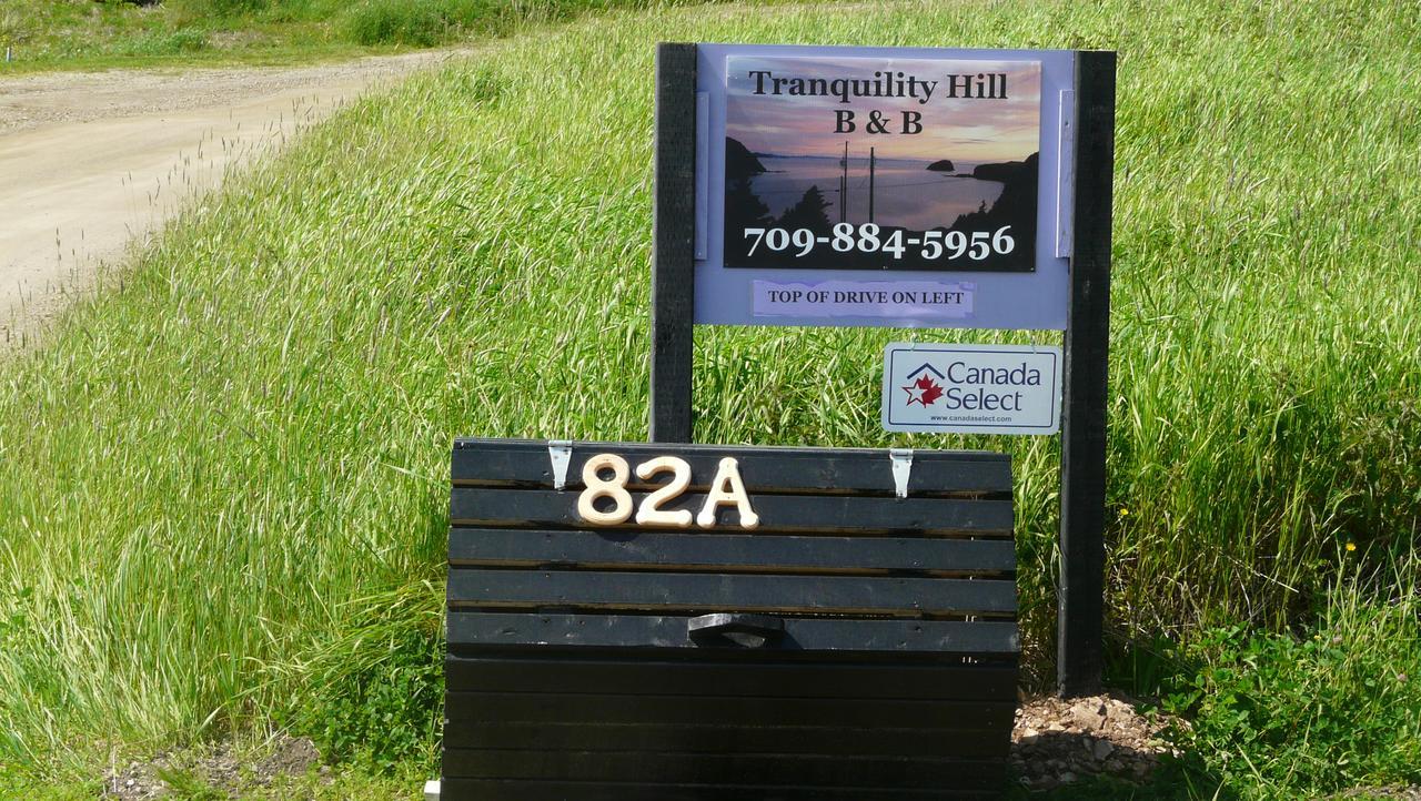 Tranquility Hill B & B Twillingate Eksteriør billede