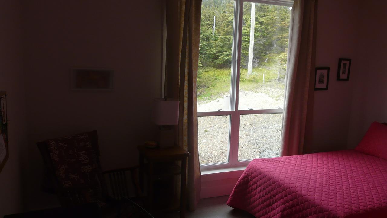 Tranquility Hill B & B Twillingate Eksteriør billede